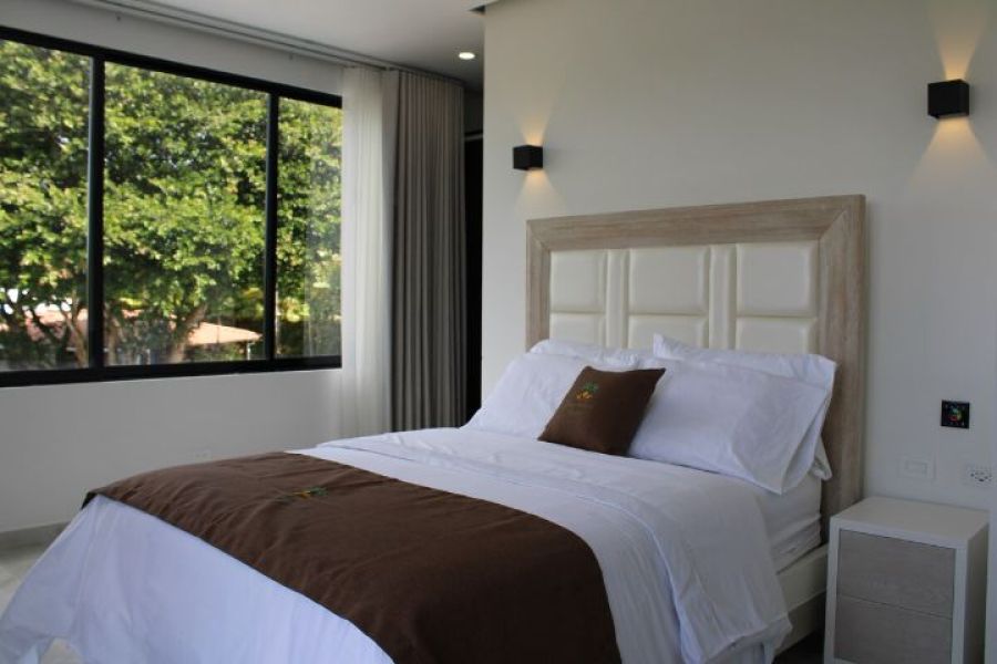 Suite Palmeras — foto 4
