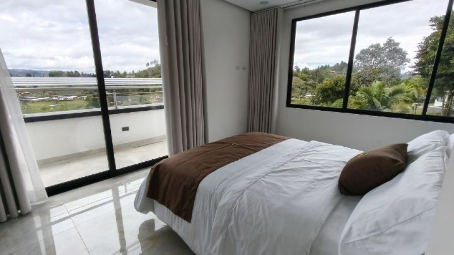 Suite Palmeras — foto 5